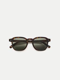 Tortoise Classic