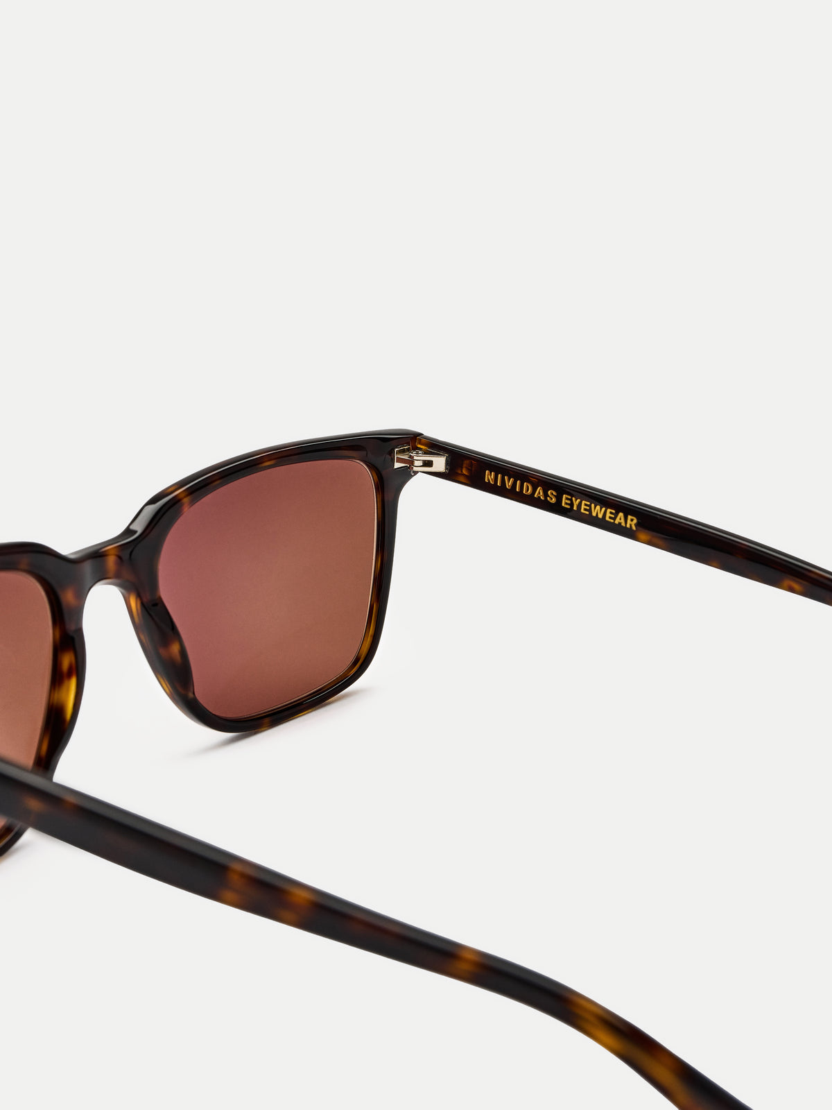 Houston Tortoise Classic