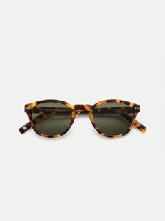Tortoise Havana