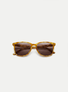 Tortoise Amber