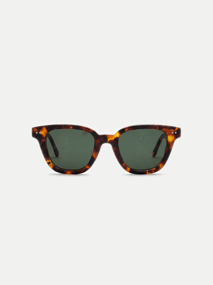 Palermo Tortoise Camo