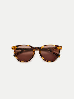 Tortoise Havana