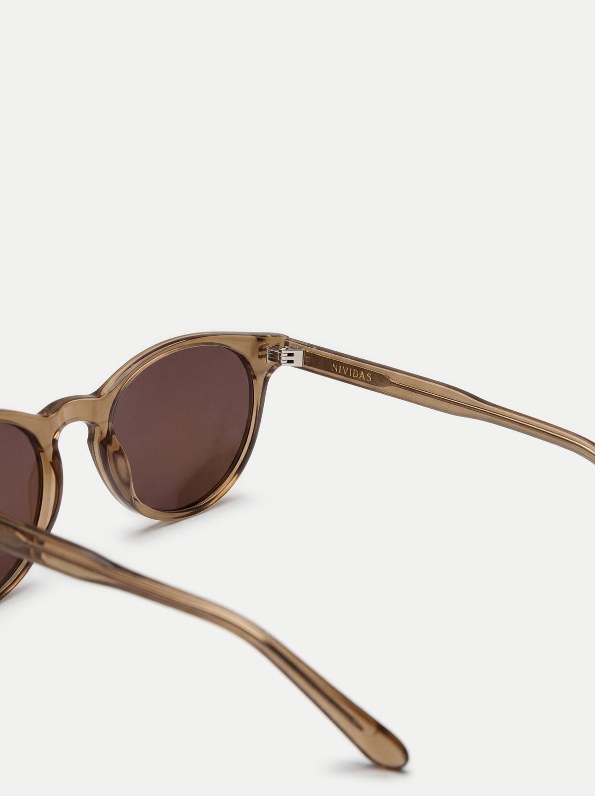 Paris Transparent Brown