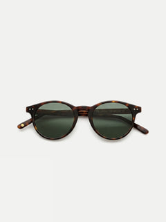 Tortoise Classic