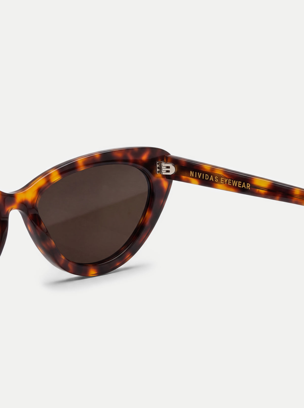 Rio De Janeiro Tortoise Classic
