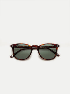 Tortoise Classic